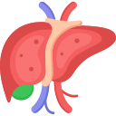 USG WITH LIVER FAT QUANTIFICATION